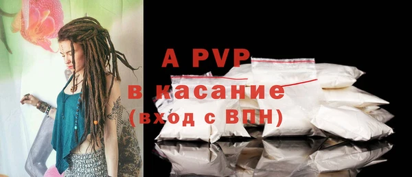 ПСИЛОЦИБИНОВЫЕ ГРИБЫ Абаза