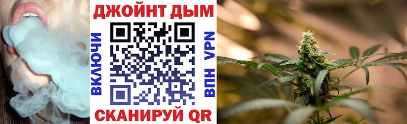 Бошки марихуана SATIVA & INDICA omg маркетплейс Никольск купить наркотики цена